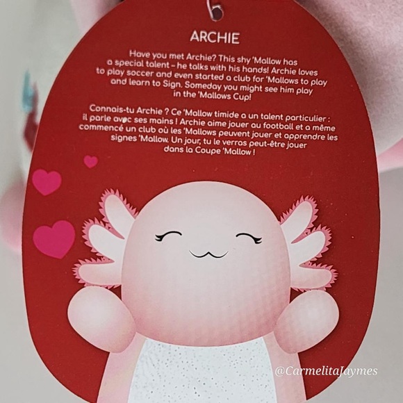 ❤️ ARCHIE 🦎 Valentines Day Axolotl Hugmee W Hearts Squishmallow By Kellytoy NWT - Picture 8 of 9